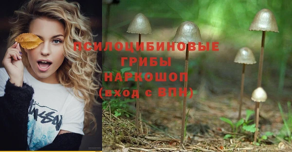 гашиш Гусев