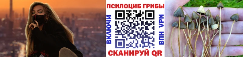 Купить закладки  Коркино  Псилоцибиновые грибы ЛСД 